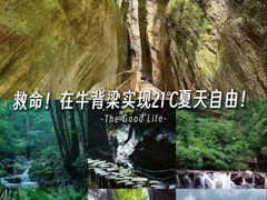 -牛背梁国家森林公园