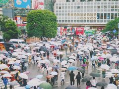 -涩谷区