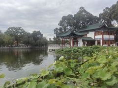 -庾园