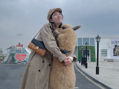 -Blue Concept Cafe&Farm·關於藍