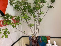 -Angkor SPA 柬埔寨古法按摩(环贸店)