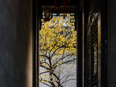 -胡雪岩故居