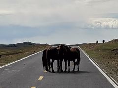 -塞罕坝国家级自然保护区