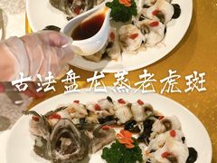 古法盘龙蒸老虎斑-红棉中餐厅·广州海航威斯汀酒店