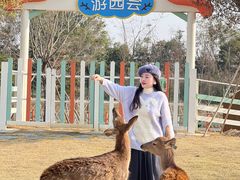 -盈香心动乐园