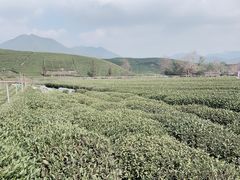 -午潮山国家森林公园