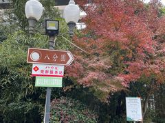 -八分园