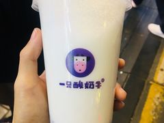 -一只酸奶牛(八一路店)