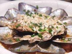 -全乐鱼馆·淳牌有机鱼直营店