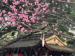 -乌山风景区