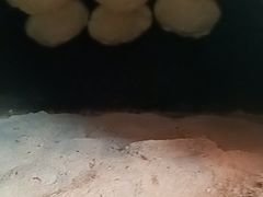 -福满我家大碗厨·湘菜(上海大厦店)