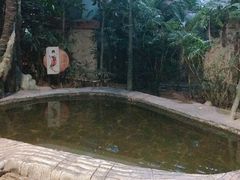 -龙达温泉生态城