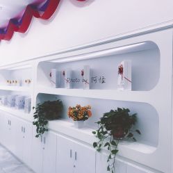 -莱可美科技美肤