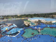 -秦皇岛乐岛海洋王国