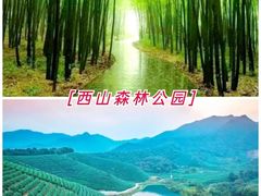 -杭州半山国家森林公园