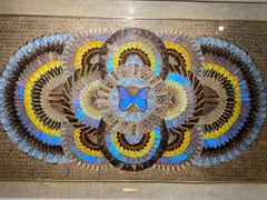 -上海昆虫博物馆