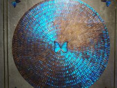 -上海昆虫博物馆