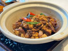 -鱼翅楼·津派砂锅鱼翅(水上公园店)