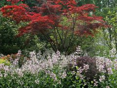 -昆山城市生态森林公园