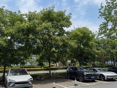 -宝荣鱼馆·临湖之宴(千岛湖店)