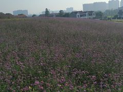 -雪浪山卡丁车俱乐部