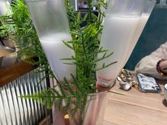 -探窝·竹笙椰子鸡(杨箕店)