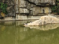-福州动物园