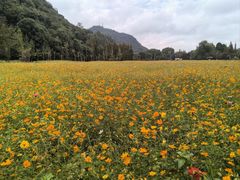 -贵阳市花溪国家城市湿地公园