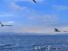 -大理洱海