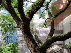 -香港大学