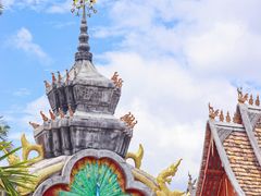 -西双版纳傣族园