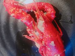 蒜香小龙虾-红钳侠小龙虾·烧烤(中赢康康谷店)