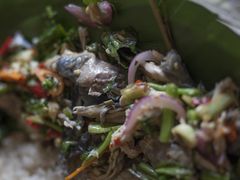 景颇鬼鸡-金塔傣乡·云南民族特色菜·傣味手抓饭(金瓦路店)