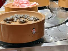 鲜蛤蜊-龍歌自助小火锅(崂山丽达店)