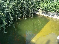 -1369冰火锅(木北路店)