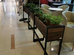 -满记甜品(友谊国贸城店)