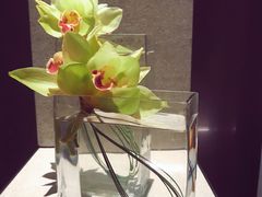 -北京三里屯CHAO酒店