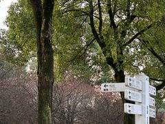 -橘子洲景区