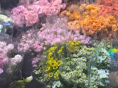 -循礼门鲜花花市(武汉循礼门店)