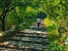 -阳台山自然风景区