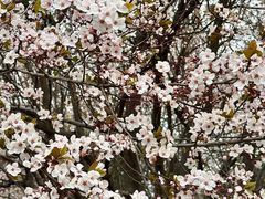 -唐城墙遗址公园