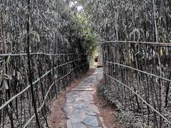 -竹子庵公园