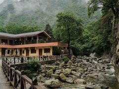 -青峰峡国家森林公园