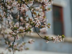 -山东大学(趵突泉校区)
