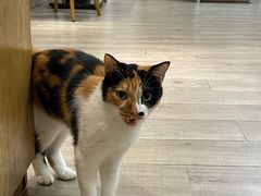 -吉友粥底火锅(方斜路店)