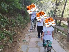 -大岭沟猕猴桃谷风景区
