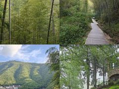 -莫干山风景区