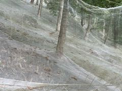 -东天目山风景区