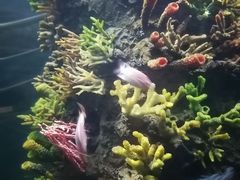 -西安曲江海洋极地公园