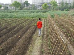 -田园东方蜜桃村的田野营地